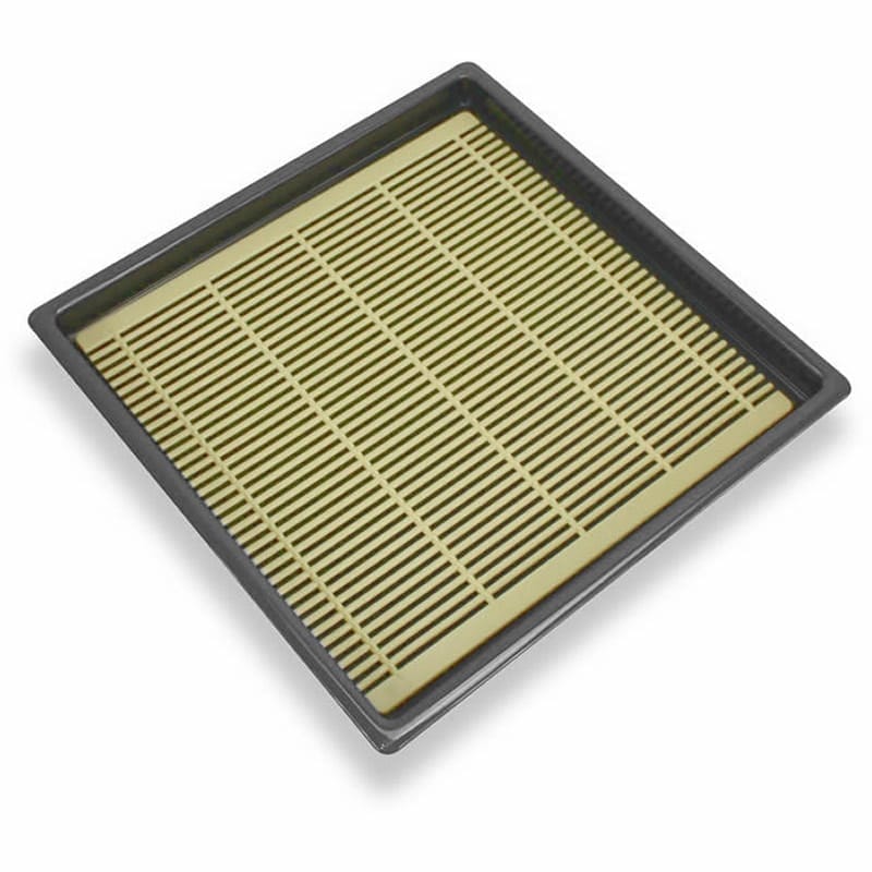 Buckwheat Udon Noodles Tray