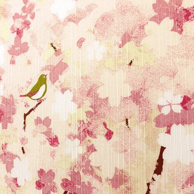 Japanese Sakura Kofu Yumezakura Detailed