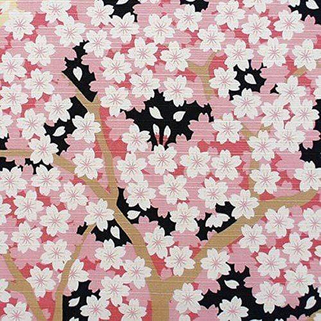 Sakura Spring Cherry Blossom