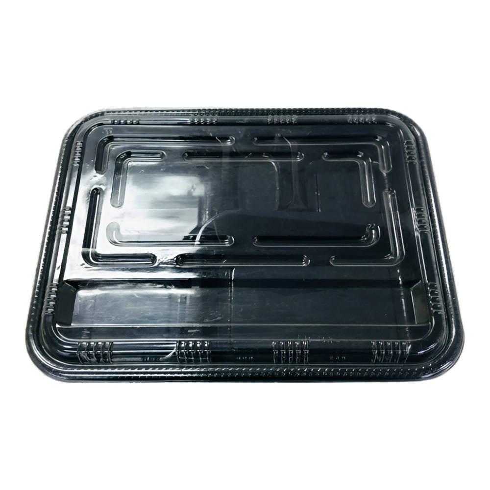 Disposable Bento Box & Lid