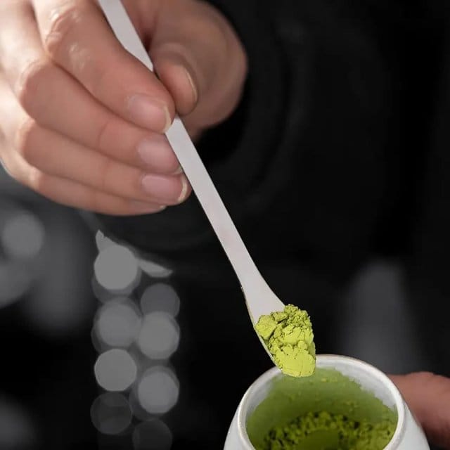 Stainless Steel Spoon