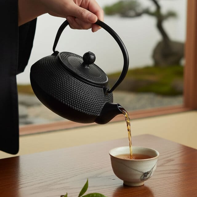 Kuro Hobnail Cast Iron Teapot Idea