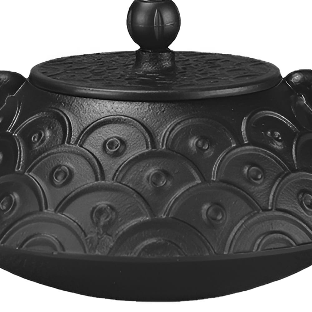 Seigaiha Cast Iron Tea Pot Detailed