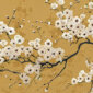 Golden Sakura Blossom Placemat