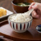 Tokusa Stripe Bowl & Spoon Set